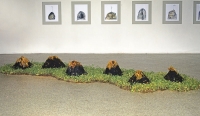 “Space&Space:Restoration of Communication” Pine Tree Gallery, Seoul, 1993